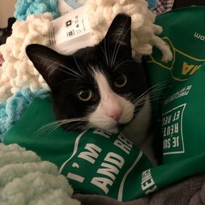 Meet your Posher, Mackenzie